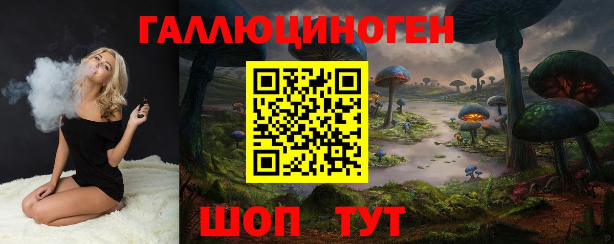 Кропоткин  Псилоцибиновые грибы Psilocybe  Вход с VPN 